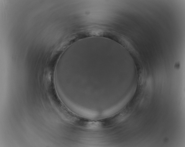 X0000112910363200909071540