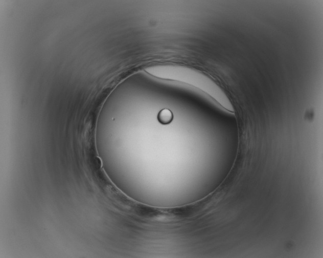 X0000112910364200909071540