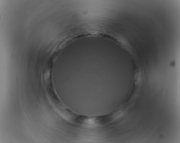 X0000112910365200909071540