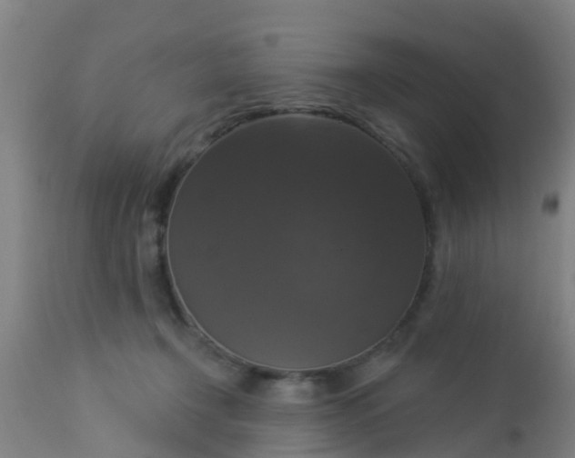 X0000112910366200909071540