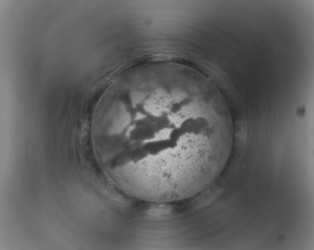 X0000112910369200909071540