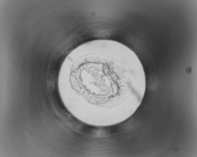 X0000112910370200909071540