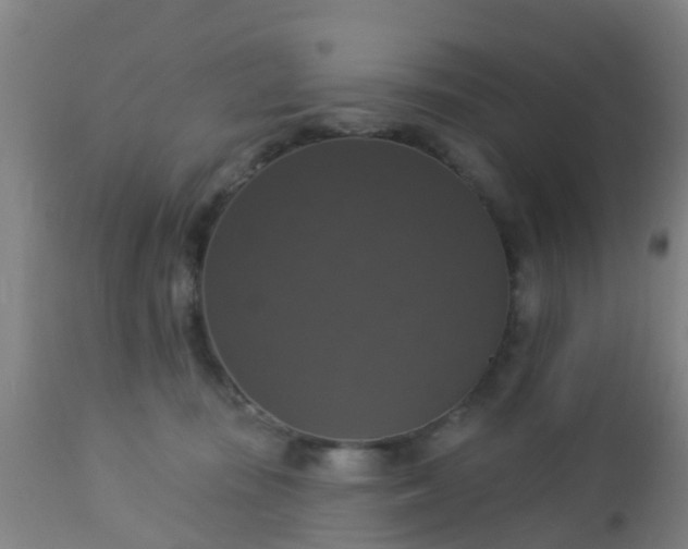 X0000112910371200909071540