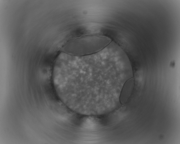 X0000112910372200909071540