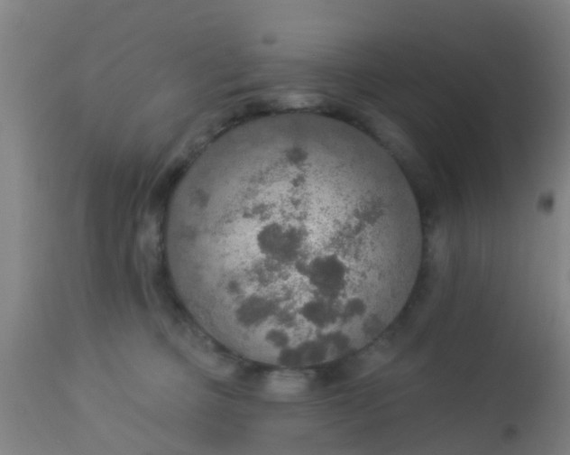 X0000112910373200909071540