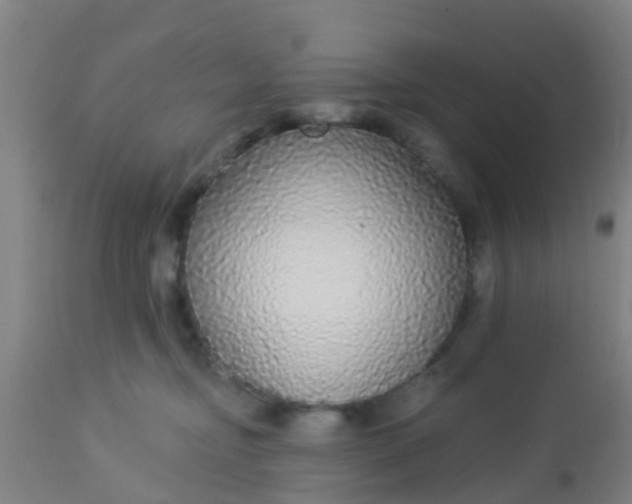 X0000112910374200909071540