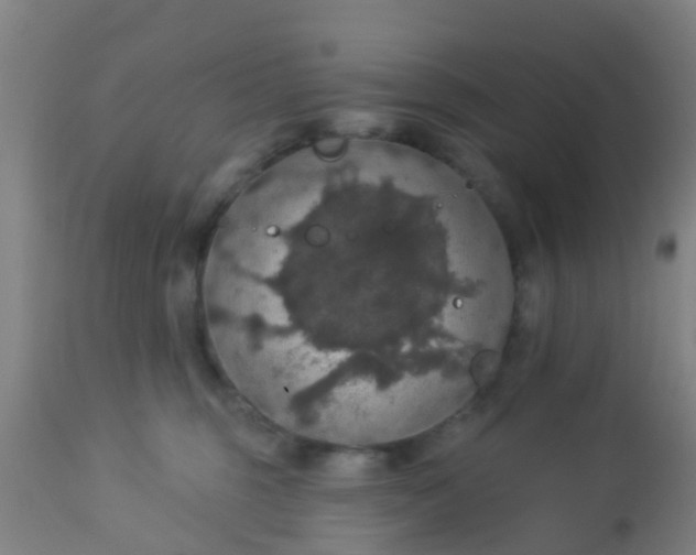 X0000112910375200909071540