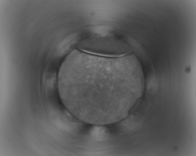 X0000112910376200909071540