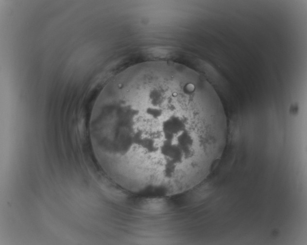 X0000112910377200909071540