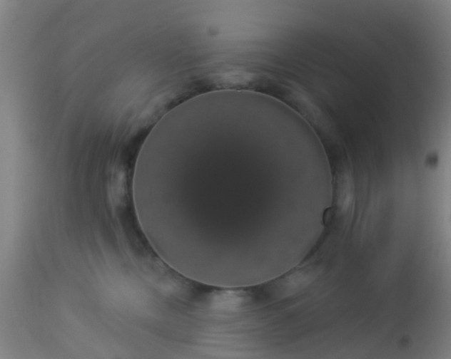 X0000112910378200909071540