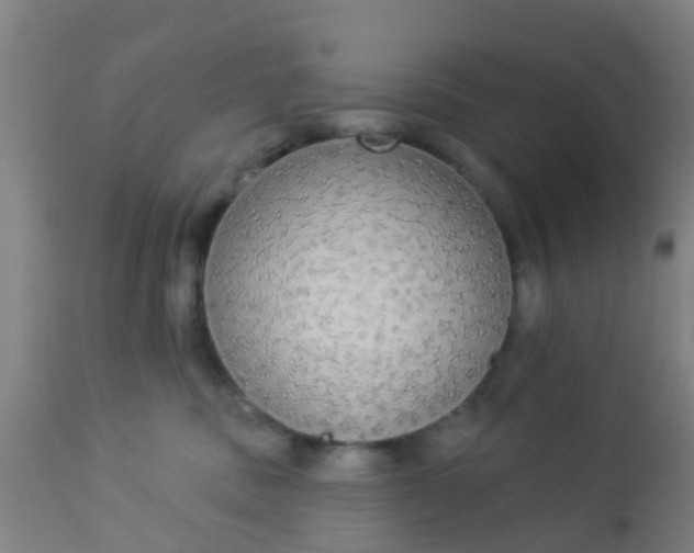 X0000112910379200909071540