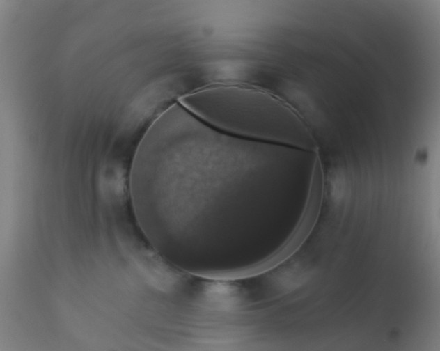 X0000112910380200909071540