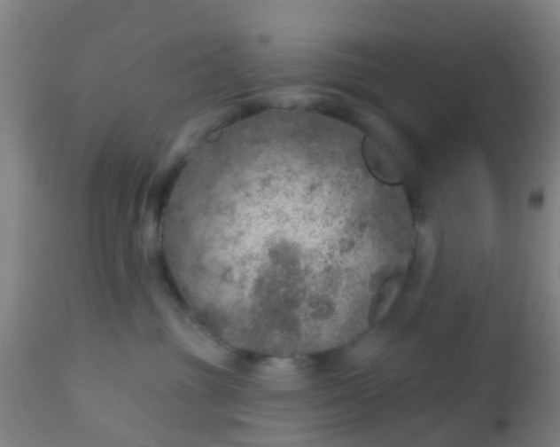 X0000112910381200909071540