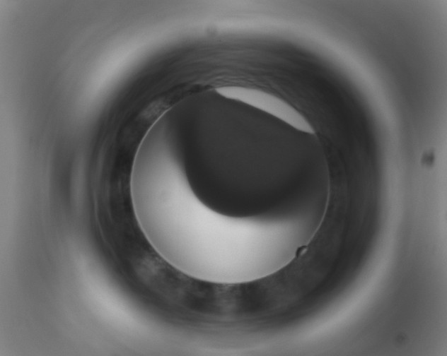 X0000112910382200909071540