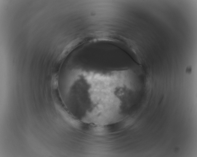 X0000112910383200909071541