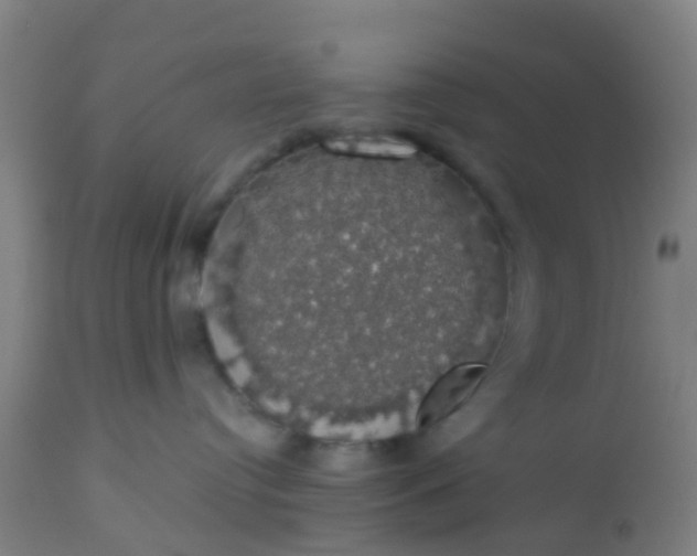 X0000112910384200909071541