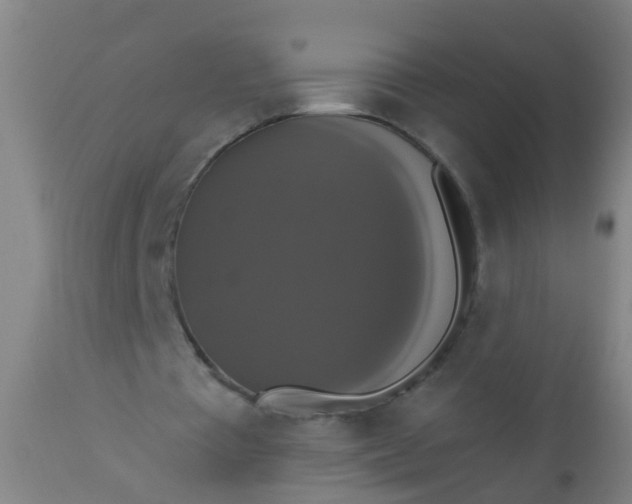 X0000112910385200909071540