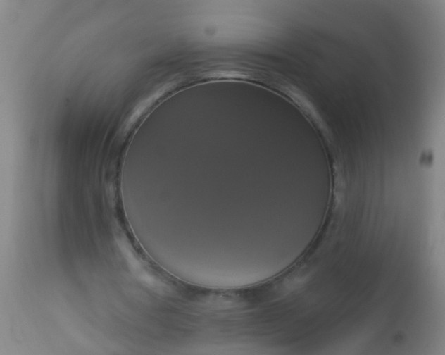 X0000112910386200909071540