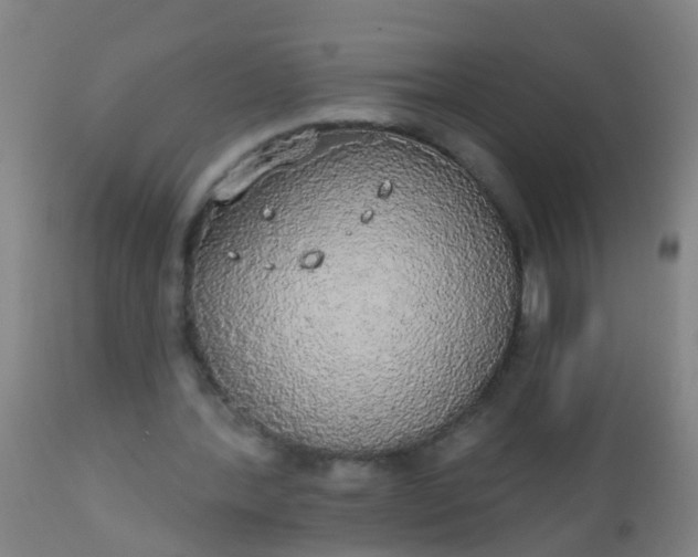 X0000112910388200909071540