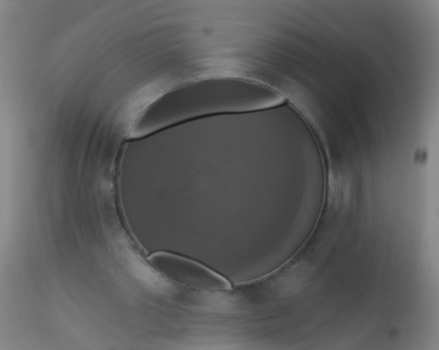 X0000112910389200909071540