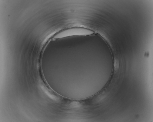 X0000112910390200909071540