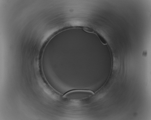 X0000112910391200909071540