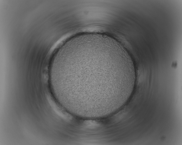 X0000112910392200909071540