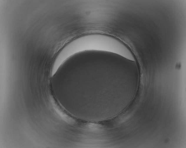 X0000112910393200909071540