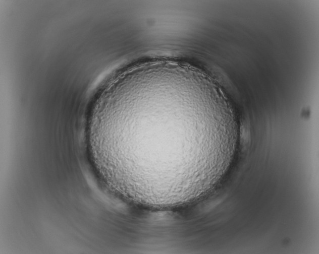 X0000112910396200909071540