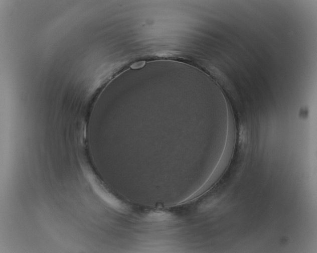 X0000112910397200909071540