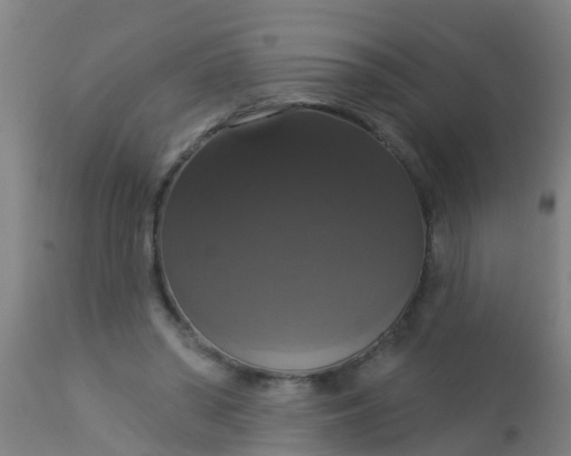 X0000112910398200909071540