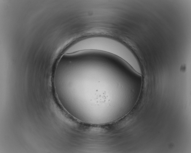 X0000112910399200909071540