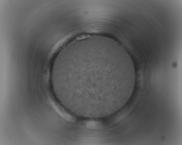 X0000112910400200909071540