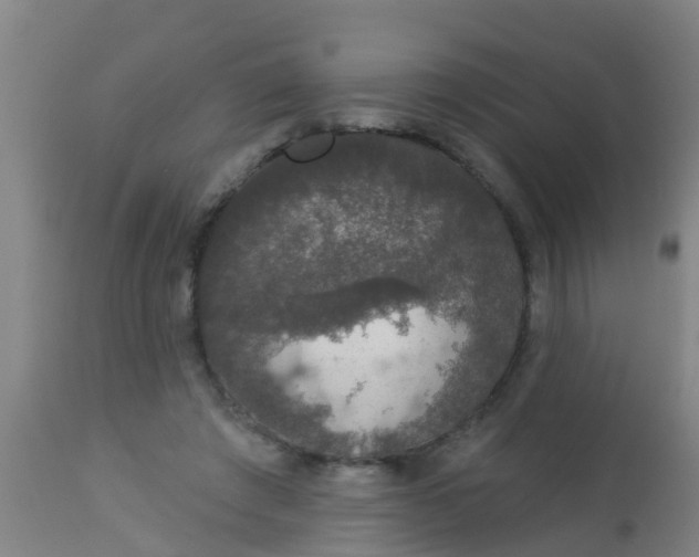 X0000112910401200909071540