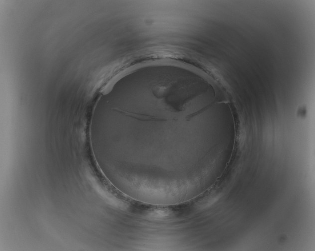 X0000112910402200909071540