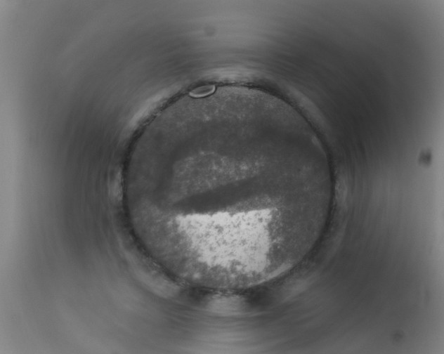 X0000112910403200909071540