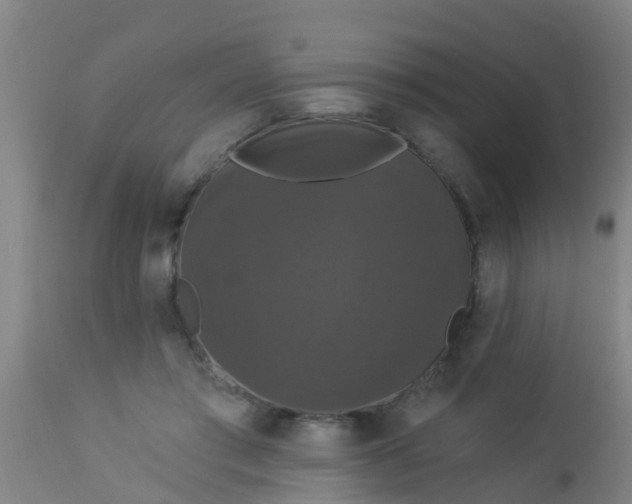 X0000112910405200909071540