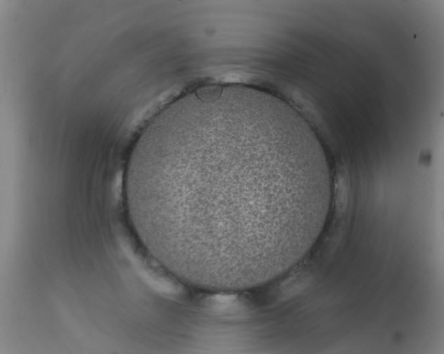 X0000112910406200909071540