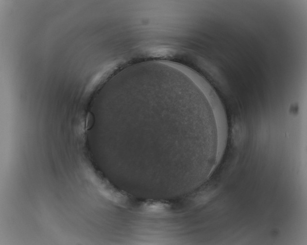 X0000112910407200909071540