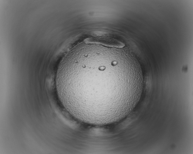 X0000112910408200909071540