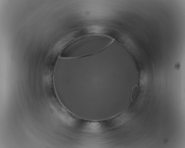 X0000112910409200909071540