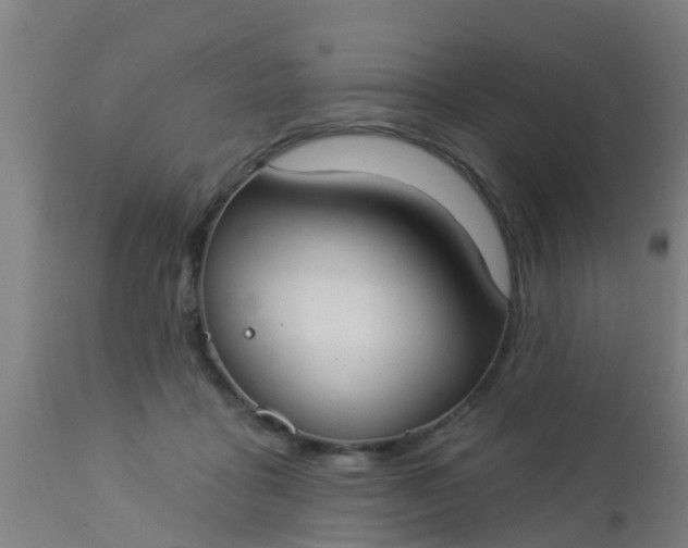 X0000112910411200909071539