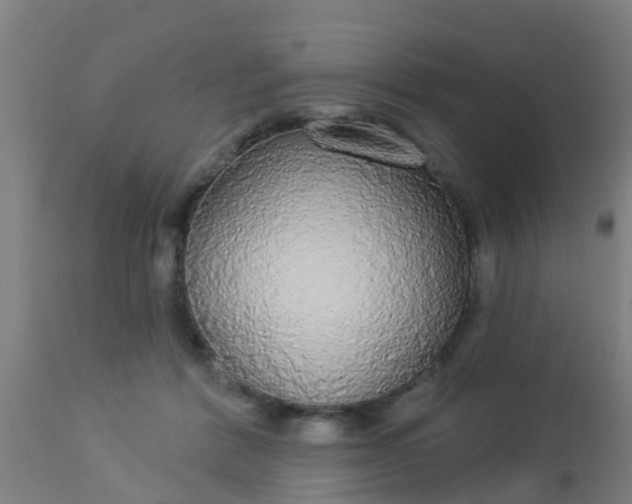 X0000112910412200909071539