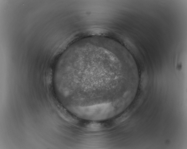 X0000112910413200909071539