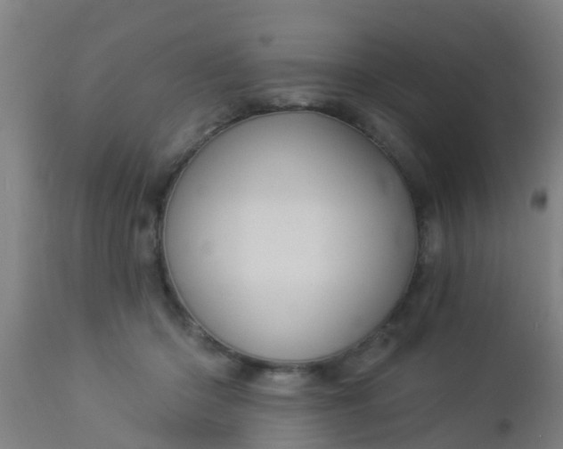 X0000112910414200909071539