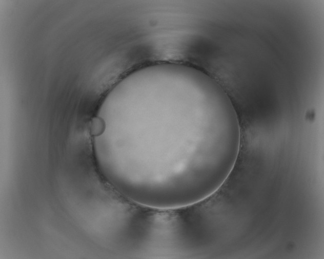 X0000112910415200909071539