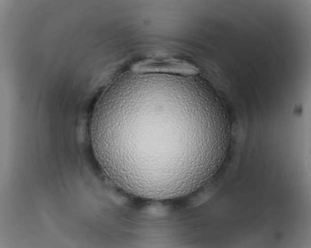 X0000112910416200909071539