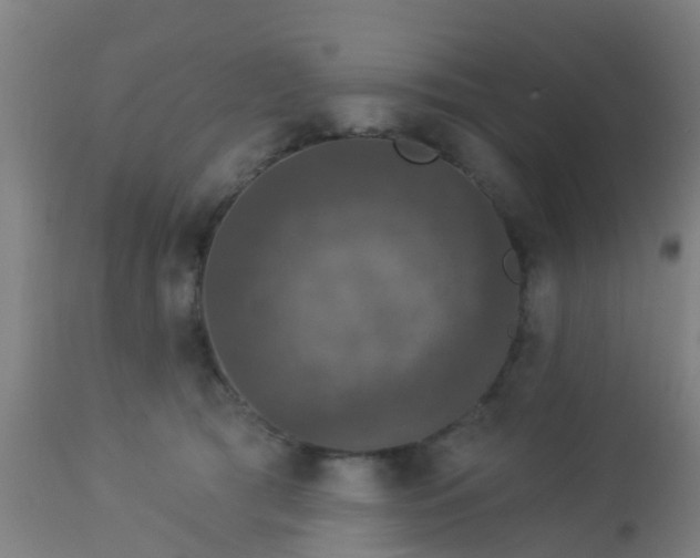 X0000112910417200909071539