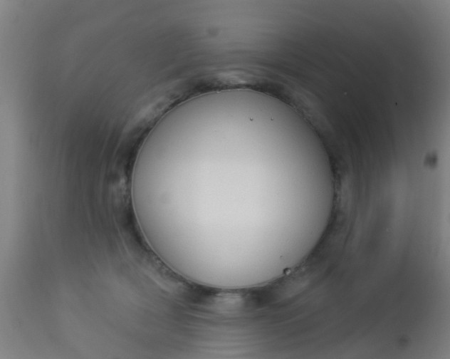 X0000112910418200909071539