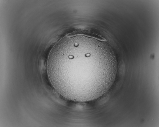 X0000112910420200909071539